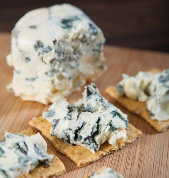 Fromages bleus bio