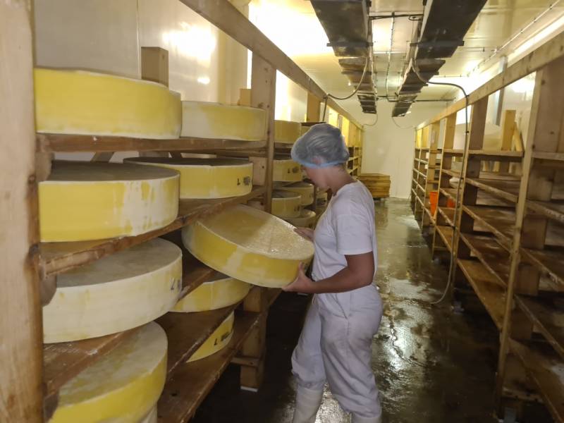 Fournisseur de fromages Bio pour professionnels Paris