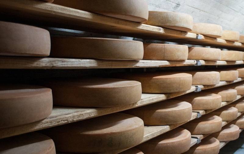 Fabricant de fromages bio pour grossistes