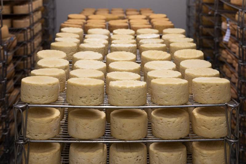 Fournisseur de fromages BIO français pour les professionnels à Caen